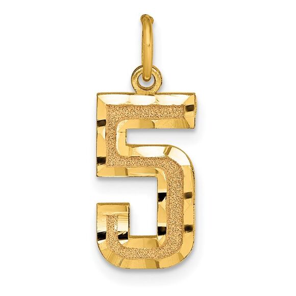 14K Yellow Gold, Varsity Collection, Medium D/C Pendant Number 5 - Picture 1 of 5
